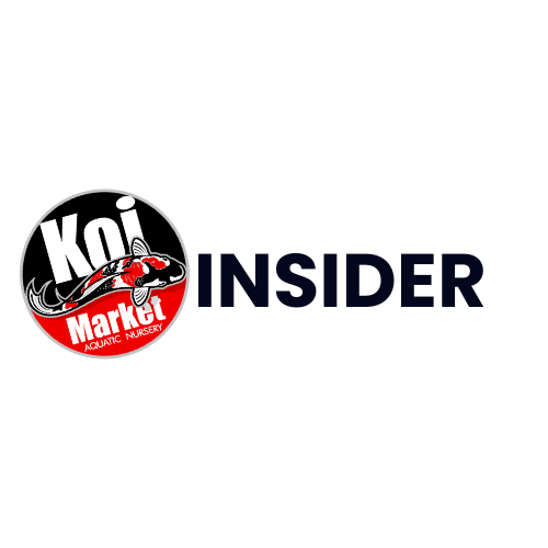 Insider Membership