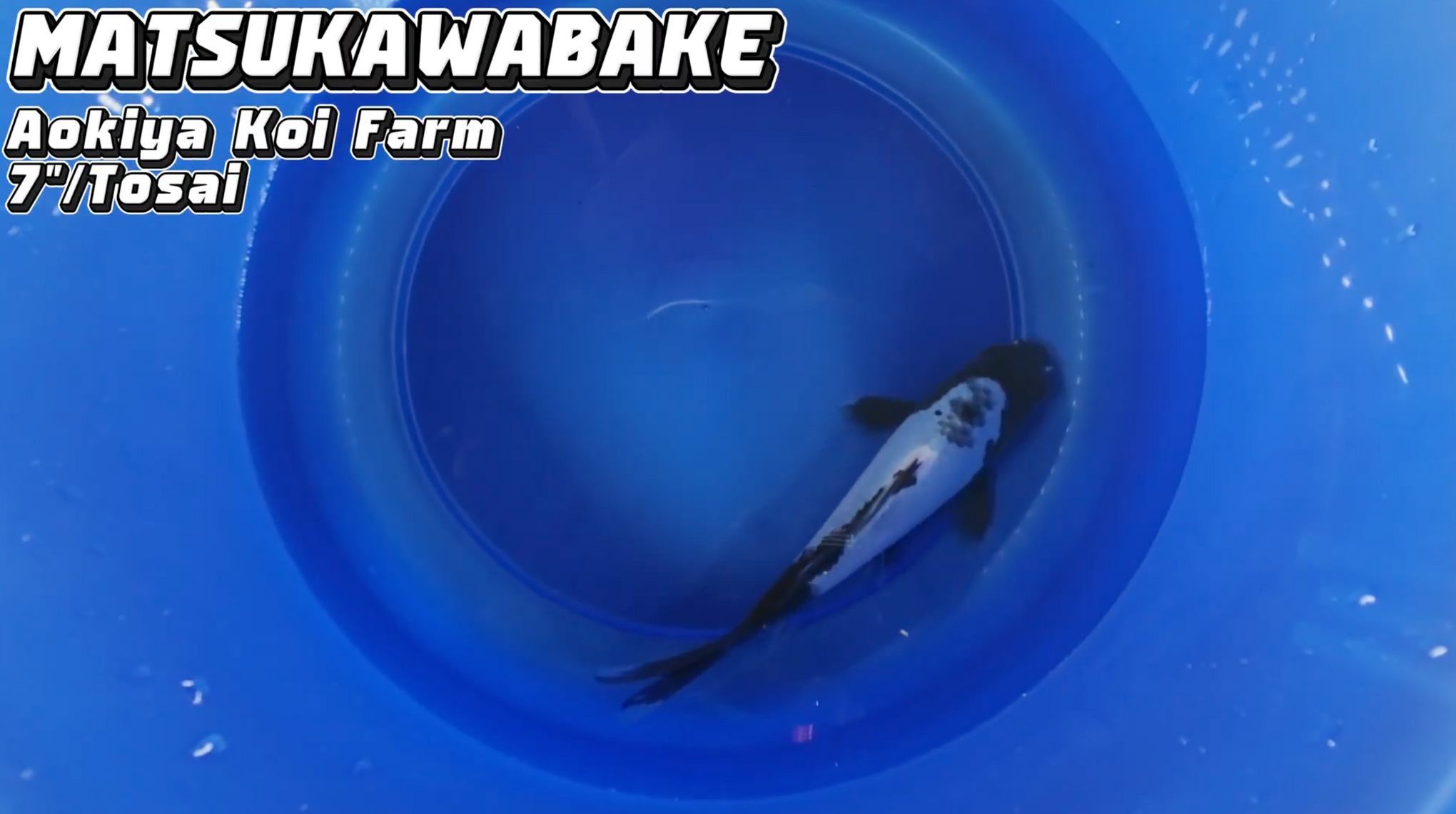 Matsukawabake