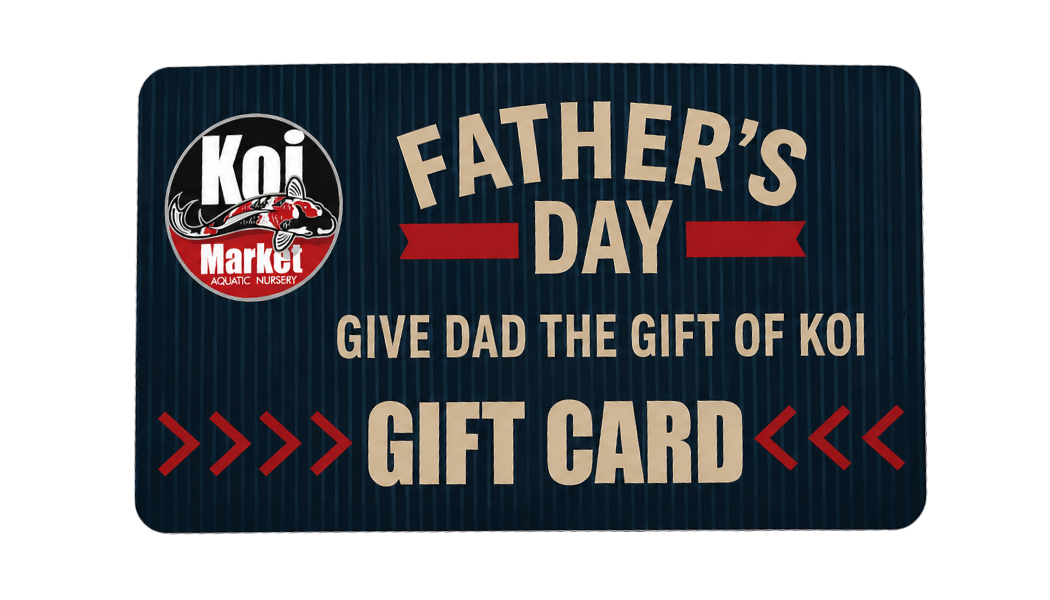 Koi Market Gift Card