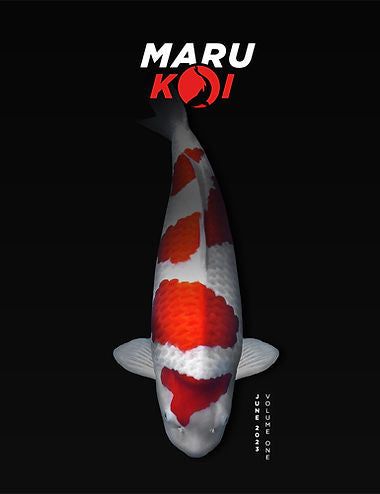 Maru Koi Magazine