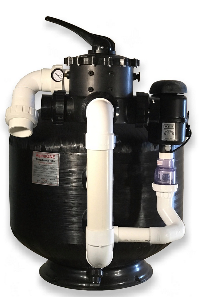 Motion Bead Filters