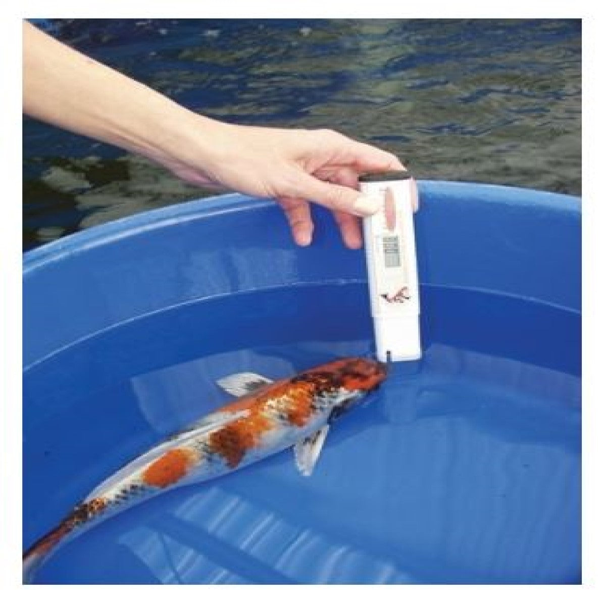 KoiMedic Pro Salinity Meter & pH Meter