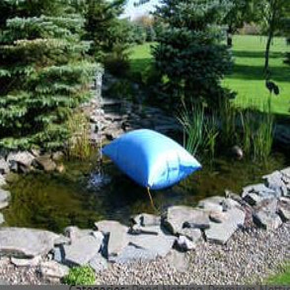 Pond pillow
